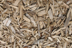 biomass boilers Round Oak
